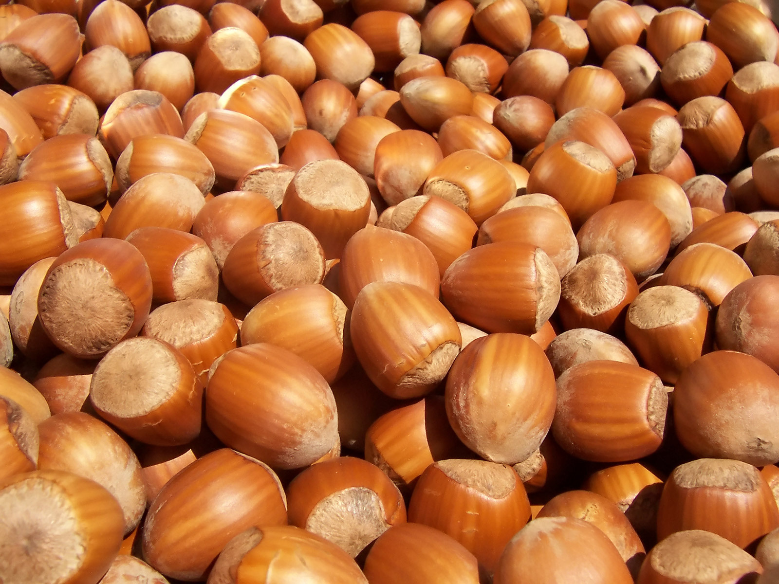 category_nuts_hazelnuts.jpg